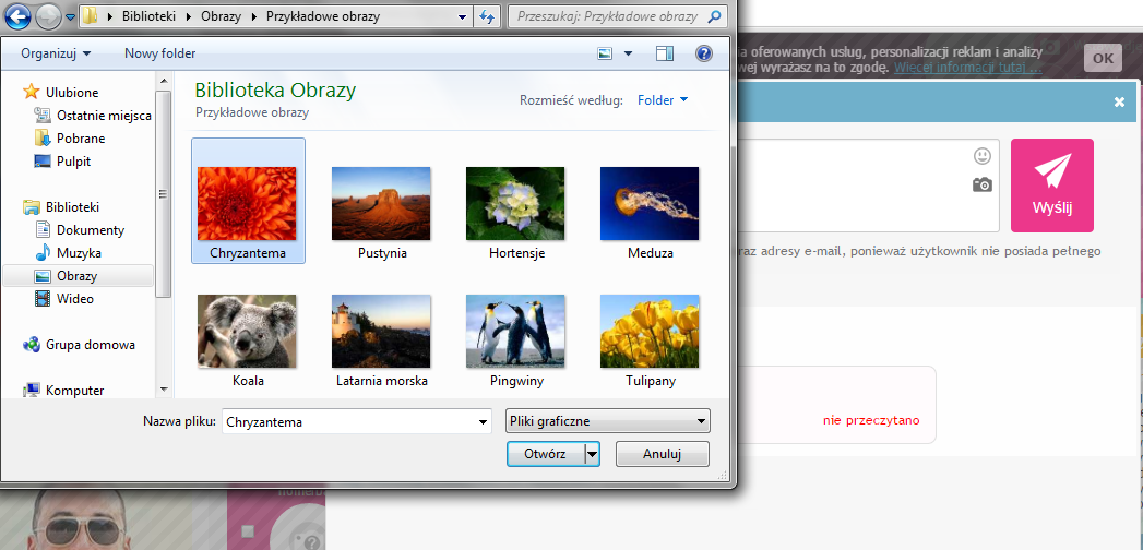 wybór zdjęcia