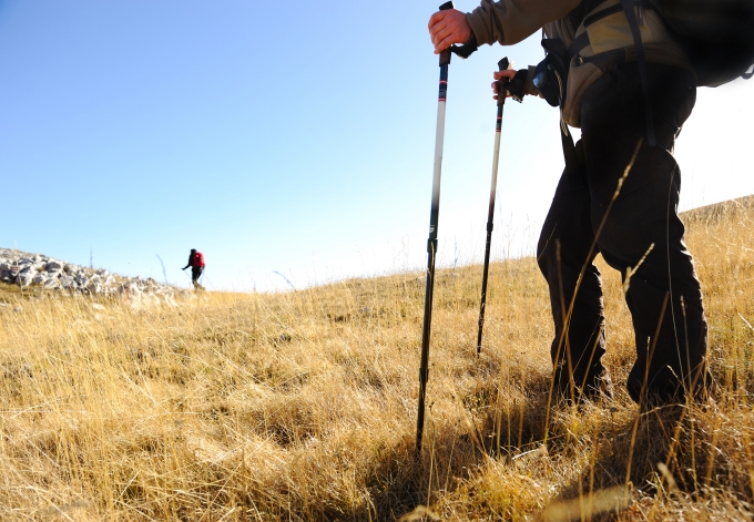 nordic_walking